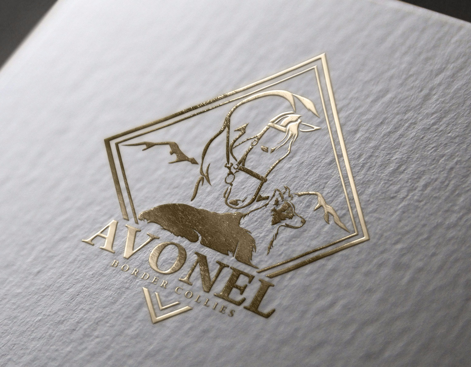 Avonel Border Collies Kennel Logo Design | Collie & Horse Logo Concepts