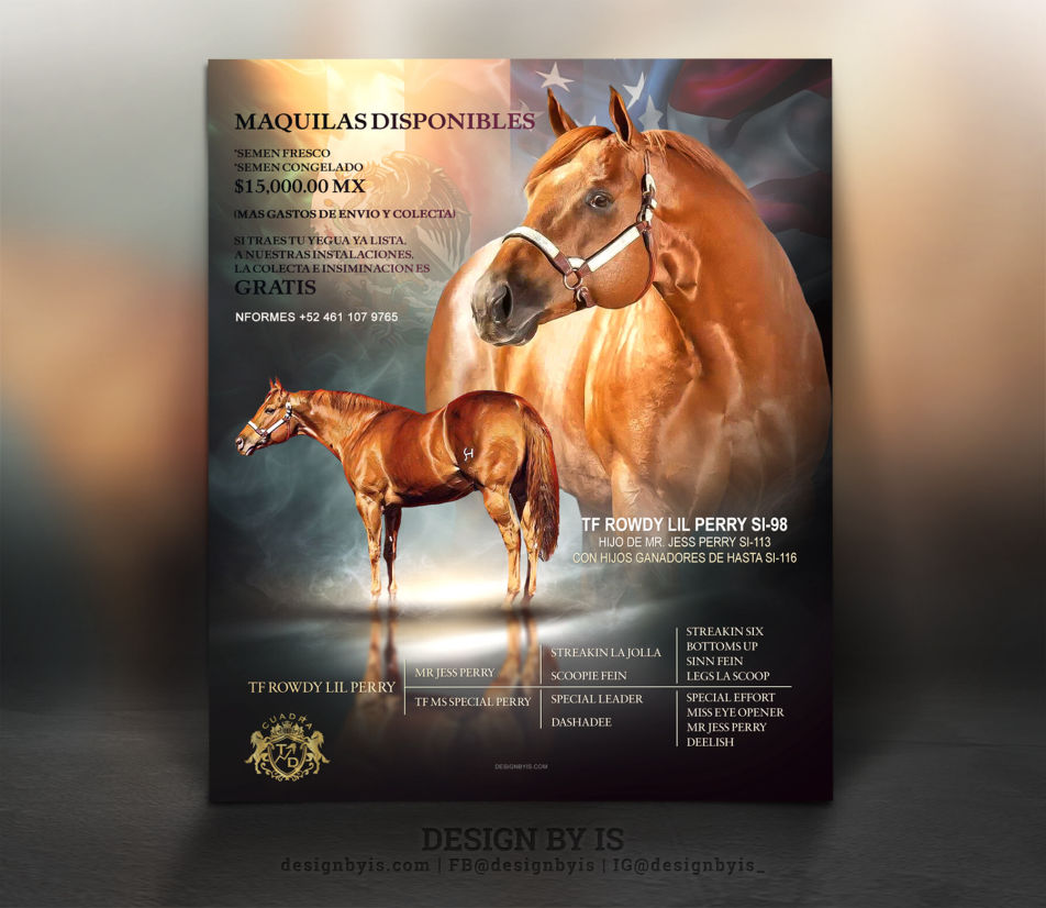 Equine ADS