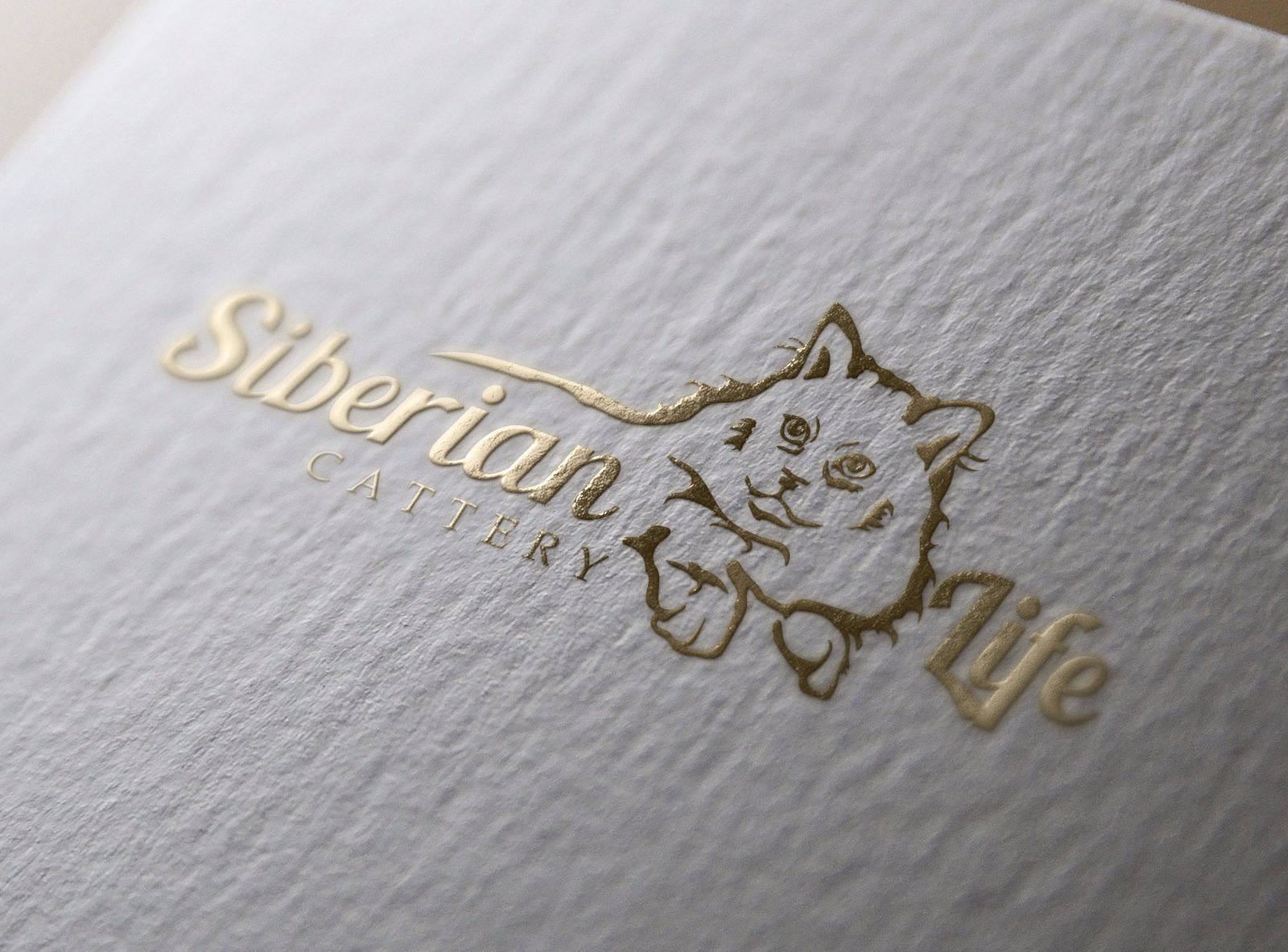Cat logo design