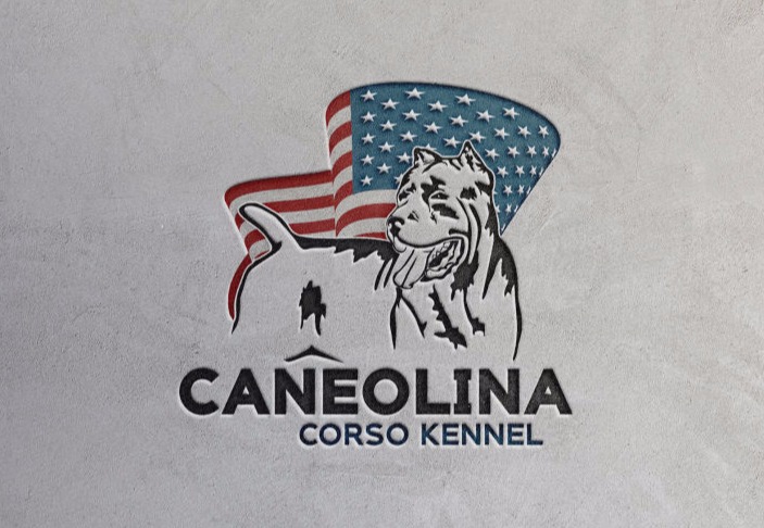 Cane Corso Logo
