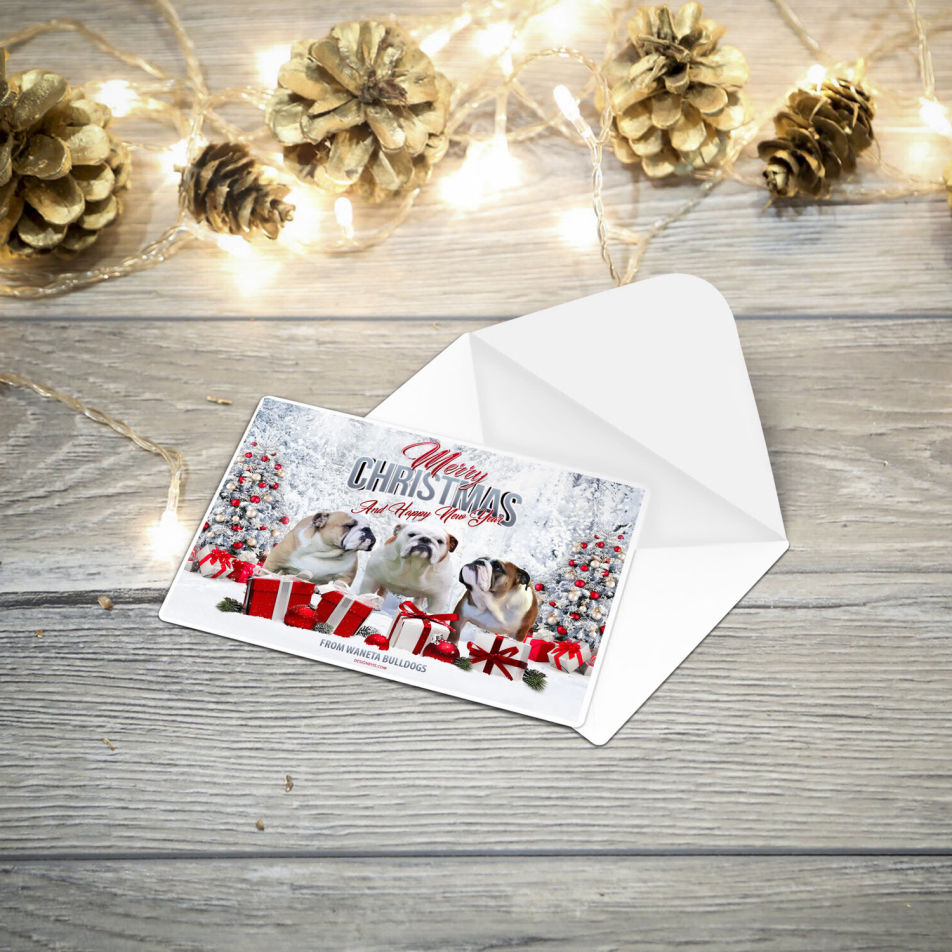 Custom greeting card