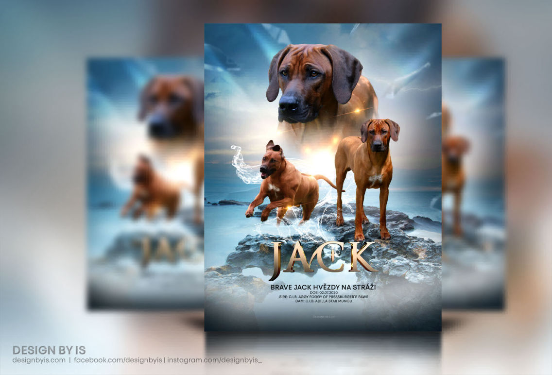 Rhodesian Ridgeback Ad