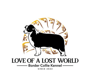 Border Collie logo